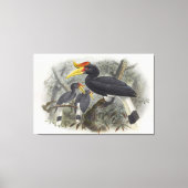 Buceros rhinoceros canvas afdruk (Voorkant)