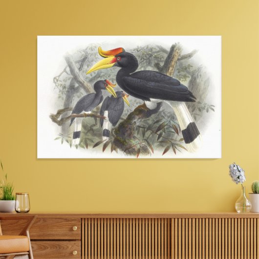 Buceros rhinoceros canvas afdruk (Insitu (Woonkamer))