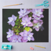 Buch van vele bloemblaadjes paarse bloemen tissuepapier (Craft)