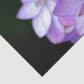 Buch van vele bloemblaadjes paarse bloemen tissuepapier (Detail)