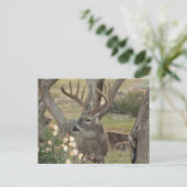 Buck Briefkaart (Staand voorkant)