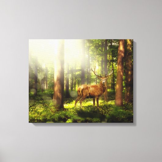 Buck Canvas Afdruk (Voorkant)
