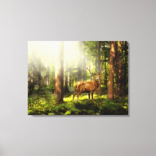Buck Canvas Afdruk (Voorkant)