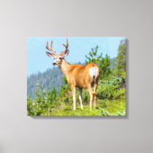 Buck Canvas Afdruk (Voorkant)