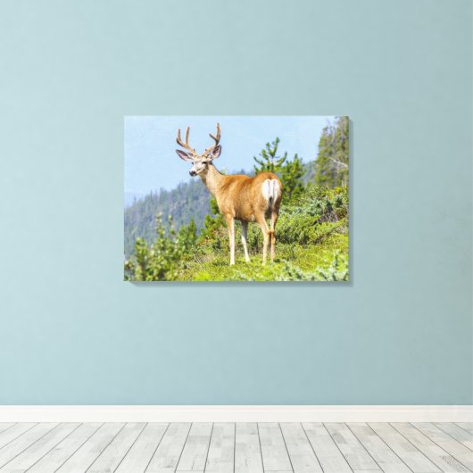 Buck Canvas Afdruk (Insitu (Houten vloer))