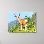 Buck Canvas Afdruk (Voorkant)