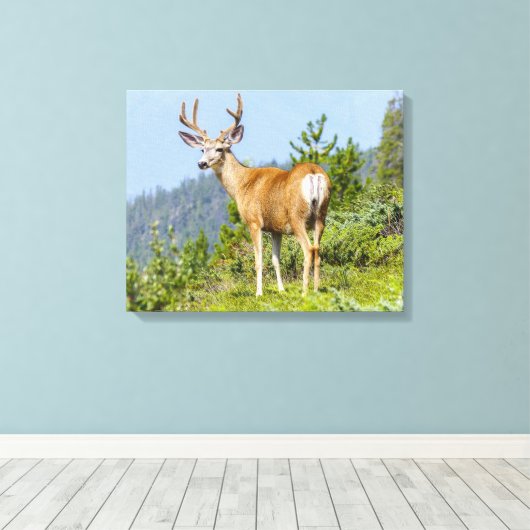 Buck Canvas Afdruk (Insitu (Houten vloer))