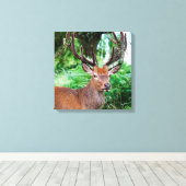 Buck Canvas afdrukken (Insitu (Houten vloer))