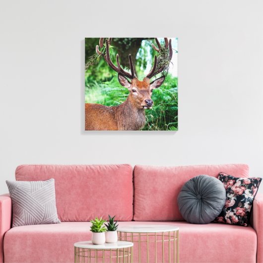Buck Canvas afdrukken (Insitu (Woonkamer))