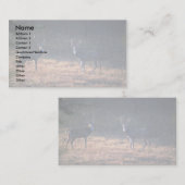 Buck confrontation at dawn visitekaartje (Voorkant / Achterkant)