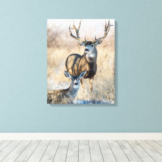 Buck Couple | Mule Deer Canvas Afdruk (Insitu (Houten vloer))