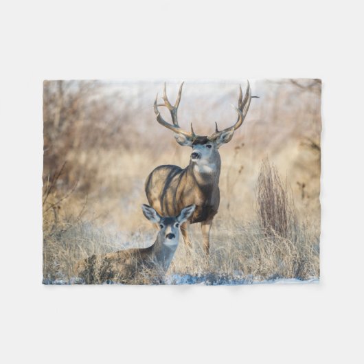 Buck Couple | Mule Deer Fleece Deken (Voorkant (Horizontaal))
