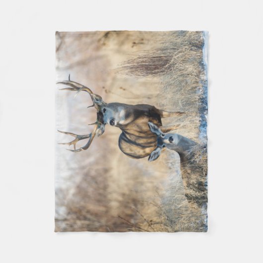 Buck Couple | Mule Deer Fleece Deken (Voorkant)