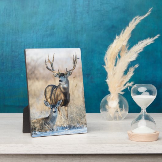 Buck Couple | Mule Deer Fotoplaat (Zijkant)