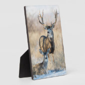 Buck Couple | Mule Deer Fotoplaat (Zijkant)