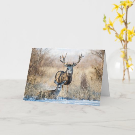 Buck Couple | Mule Deer Kaart (Gele Bloem)