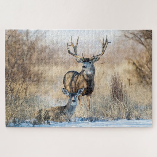 Buck Couple | Mule Deer Legpuzzel (Horizontaal)