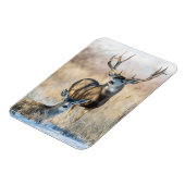 Buck Couple | Mule Deer Magneet (Linkerzijde)