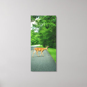 Buck Crossing Road Canvas Afdruk