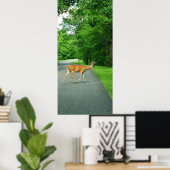 Buck Crossing Road Poster (Thuiskantoor)