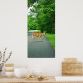 Buck Crossing Road Poster (Keuken)