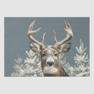 Buck Deer Christmas Tissue Paper, Tissuepapier