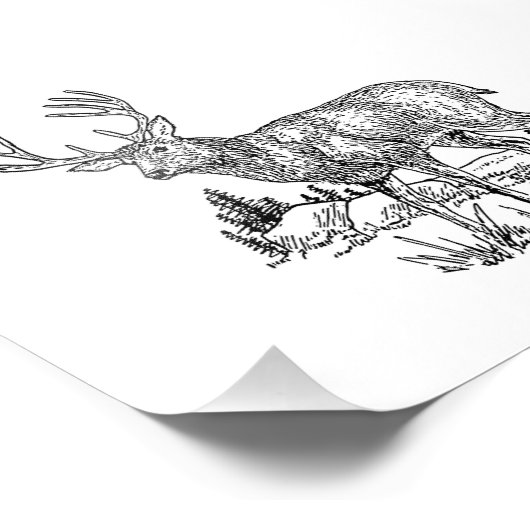 Buck Deer Foto Afdruk (Hoek)