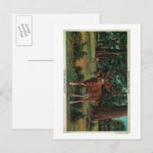 Buck Deer in Yosemite National Park Briefkaart (Voorkant / Achterkant)