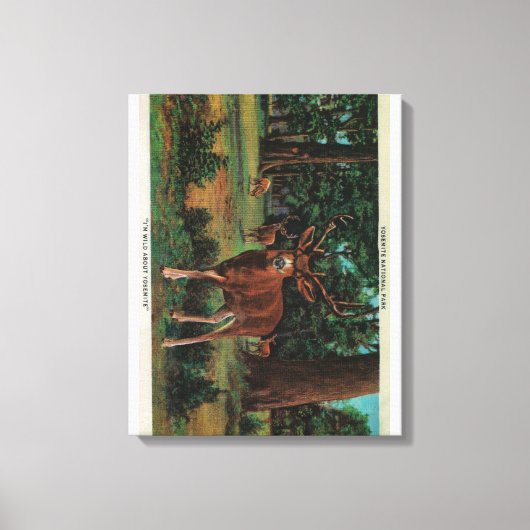Buck Deer in Yosemite National Park Canvas Afdruk (Voorkant)