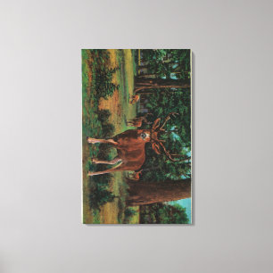 Buck Deer in Yosemite National Park Canvas Afdruk
