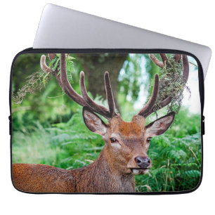 Buck Deer-laptophoes Laptop Sleeve