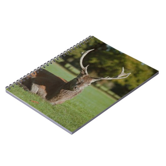 Buck deer notitieboek (Linkerzijde)