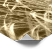 Buck Deer Photography Poster (Hoek)