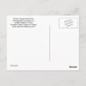 Buck Deer Postcard Briefkaart (Achterkant)