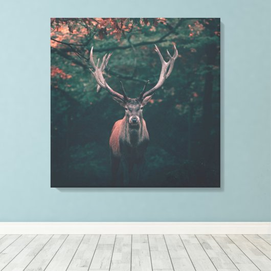 Buck Deer Wild Animal Canvas Afdruk (Insitu (Houten vloer))