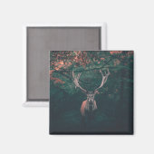 Buck Deer Wild Animal Magneet (Voorkant / Achterkant)