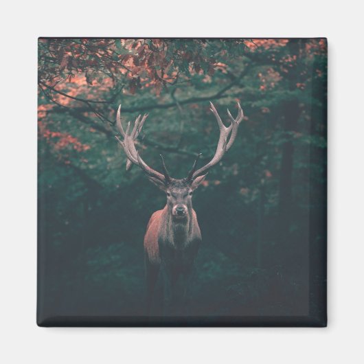 Buck Deer Wild Animal Magneet (Voorkant)