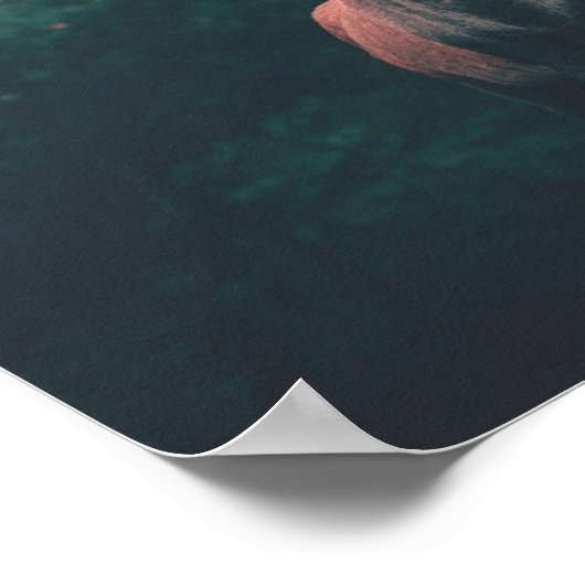 Buck Deer Wild Animal Poster (Hoek)