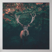 Buck Deer Wild Animal Poster (Voorkant)