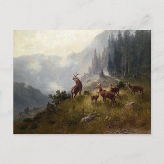 Buck & Doe Deer Herd in Forest Landscape Art Briefkaart (Voorkant)
