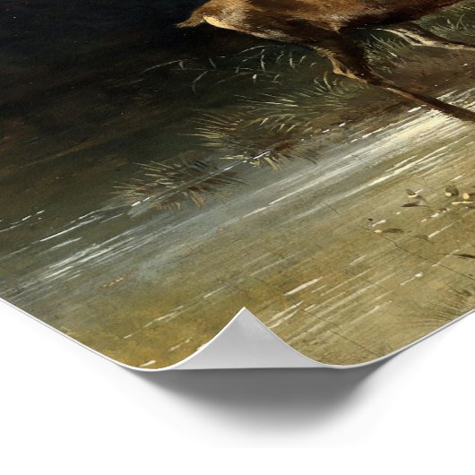 Buck & Doe Deer in Forest Art Poster (Hoek)