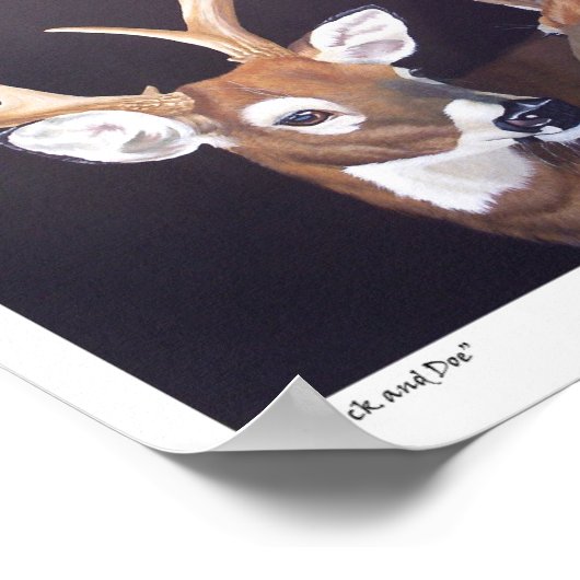 Buck en Doe Deer Poster (Hoek)