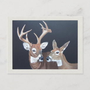 Buck en Doe Whitetail Deer Painting Briefkaart