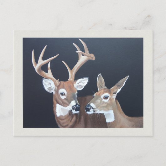 Buck en Doe Whitetail Deer Painting Briefkaart (Voorkant)