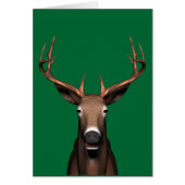 Buck Head (Voorkant)