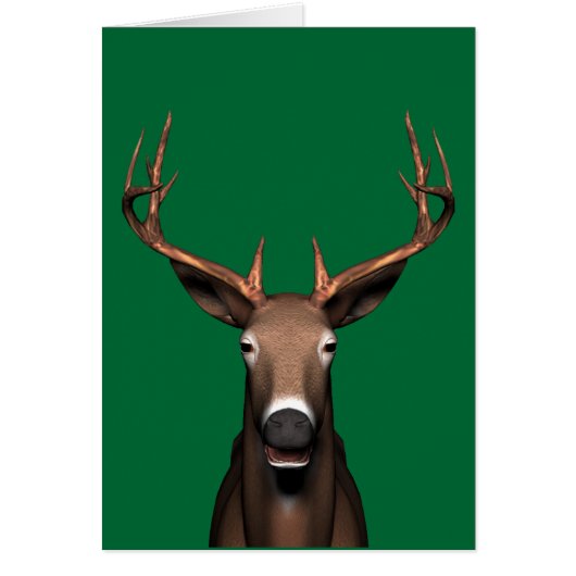 Buck Head (Voorkant)