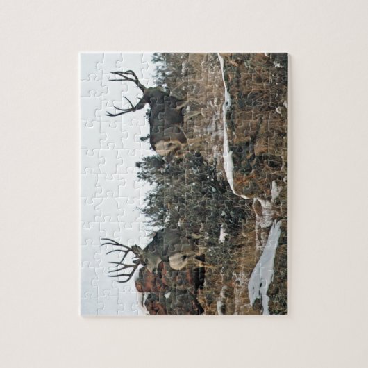 Buck hert eerste sneeuw legpuzzel (Verticaal)