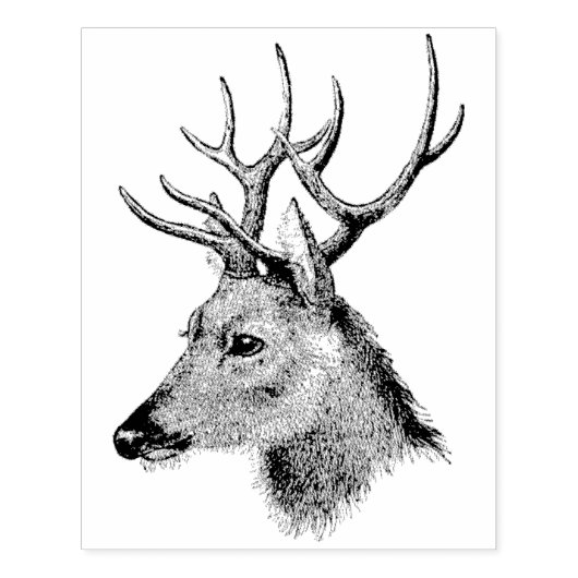  Buck hoofd met uitzicht op linker rubberen kunsts Rubberstempel (Afrduk)