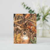 Buck in Camo White Tail Deer Briefkaart (Staand voorkant)