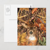 Buck in Camo White Tail Deer Briefkaart (Voorkant / Achterkant)